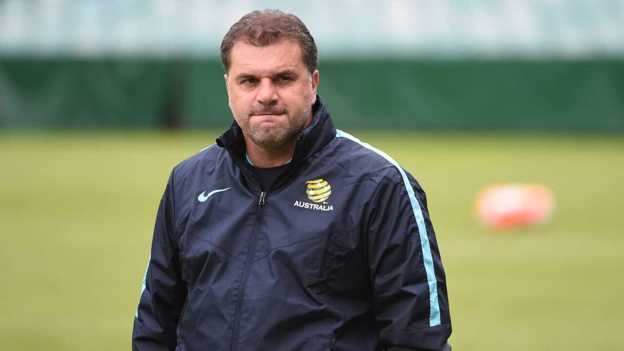 Postecoglou
