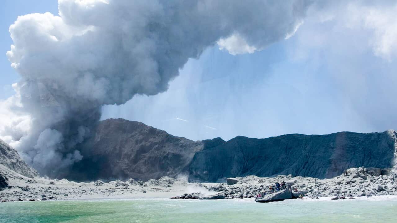White Island: Whakaari Management found guilty of 'astonishing failures' in volcano eruption case - Vimarsana News
