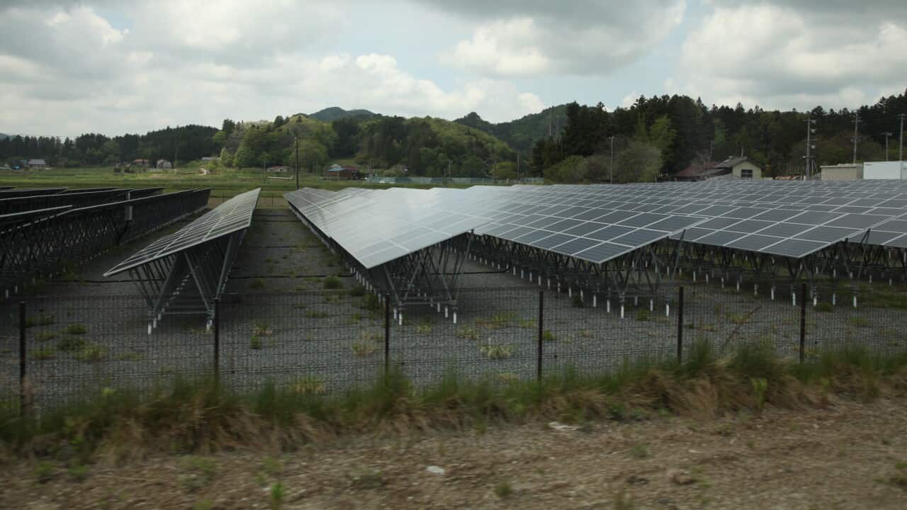 Renewable energy 
