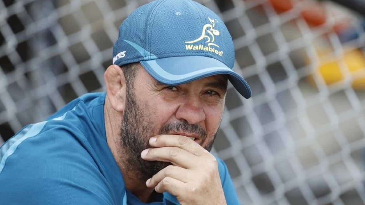 Michael Cheika.