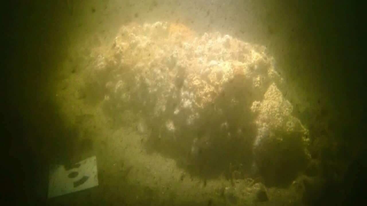 The apparent site of the HMS Endeavour