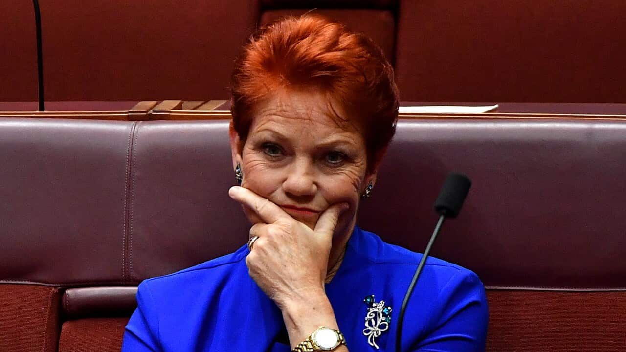 One Nation senator Pauline Hanson says it is "unconstitutional" for Queensland to keep its borders closed.