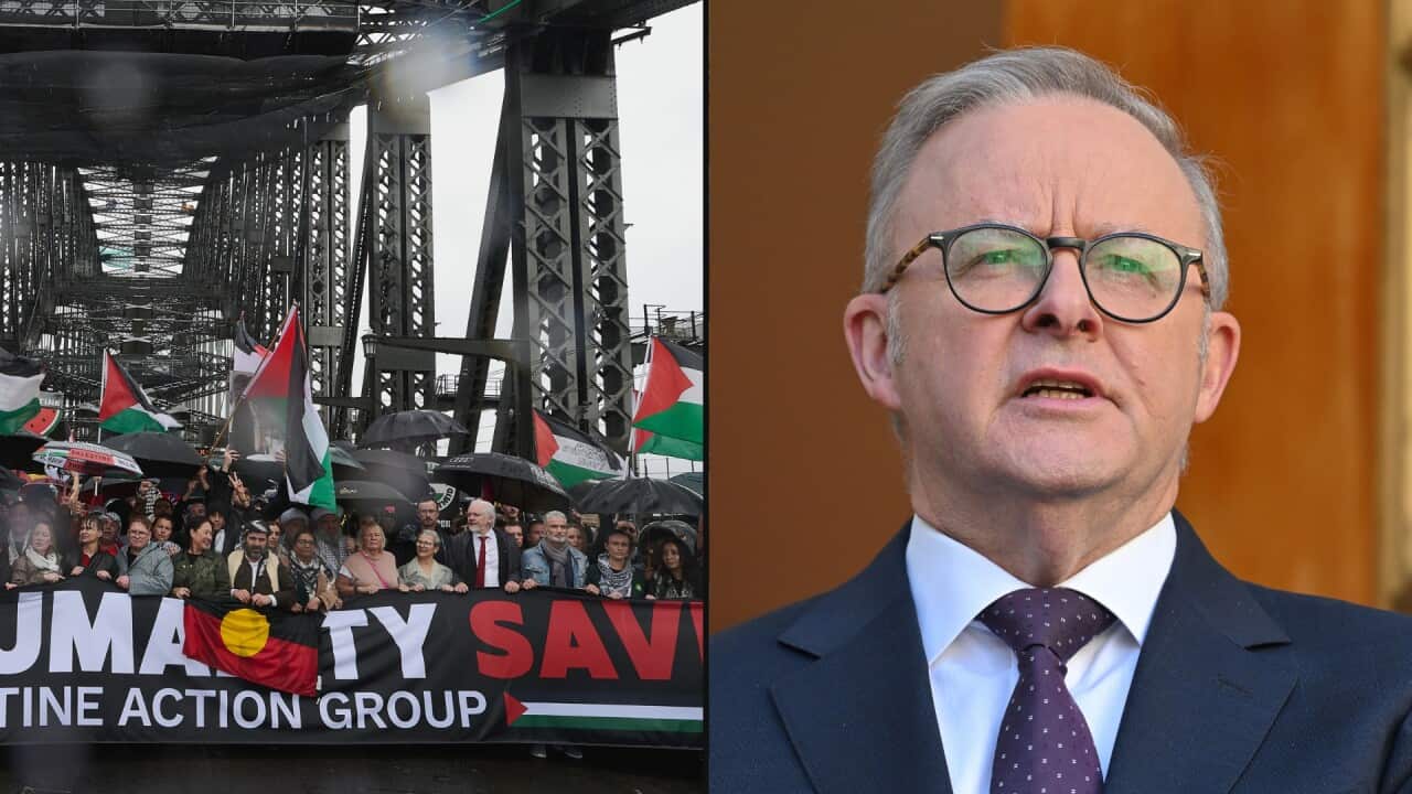 Albanese Gaza Israel protest Netanyahu.jpg