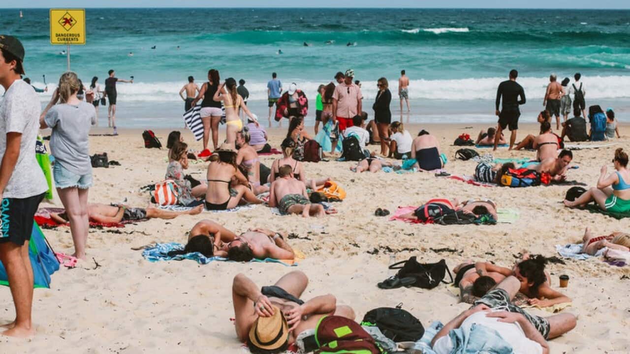 A busy Australian beach