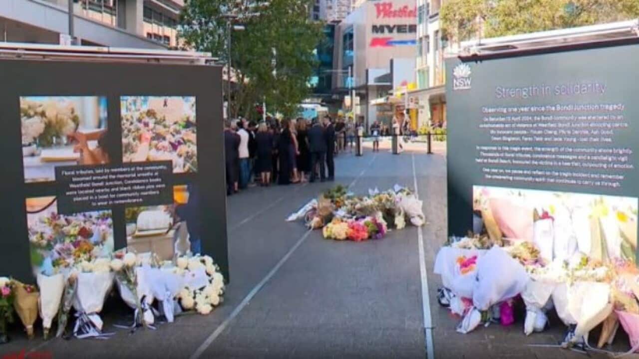 Bondi inquest SBS World News.jpg