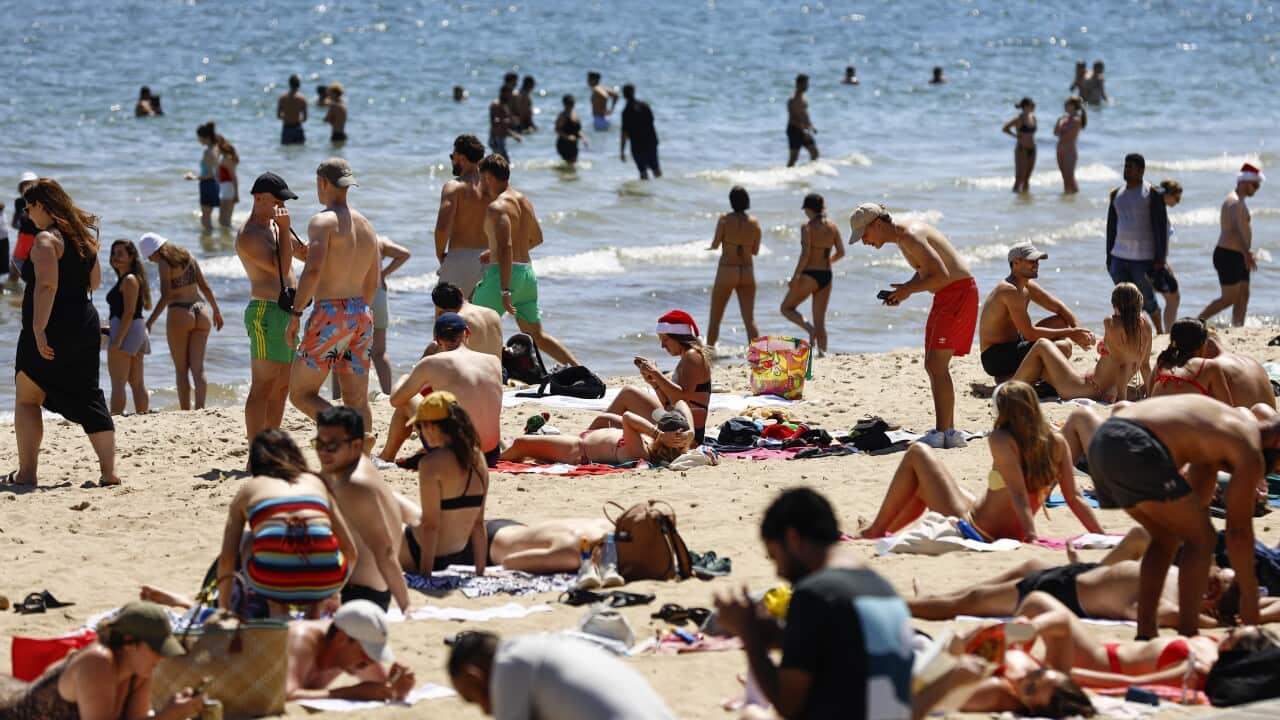 The Australian Christmas weather forecast has come true. Here’s what to expect in your city The Australian Christmas weather forecast has come true. Here’s what to expect in your city