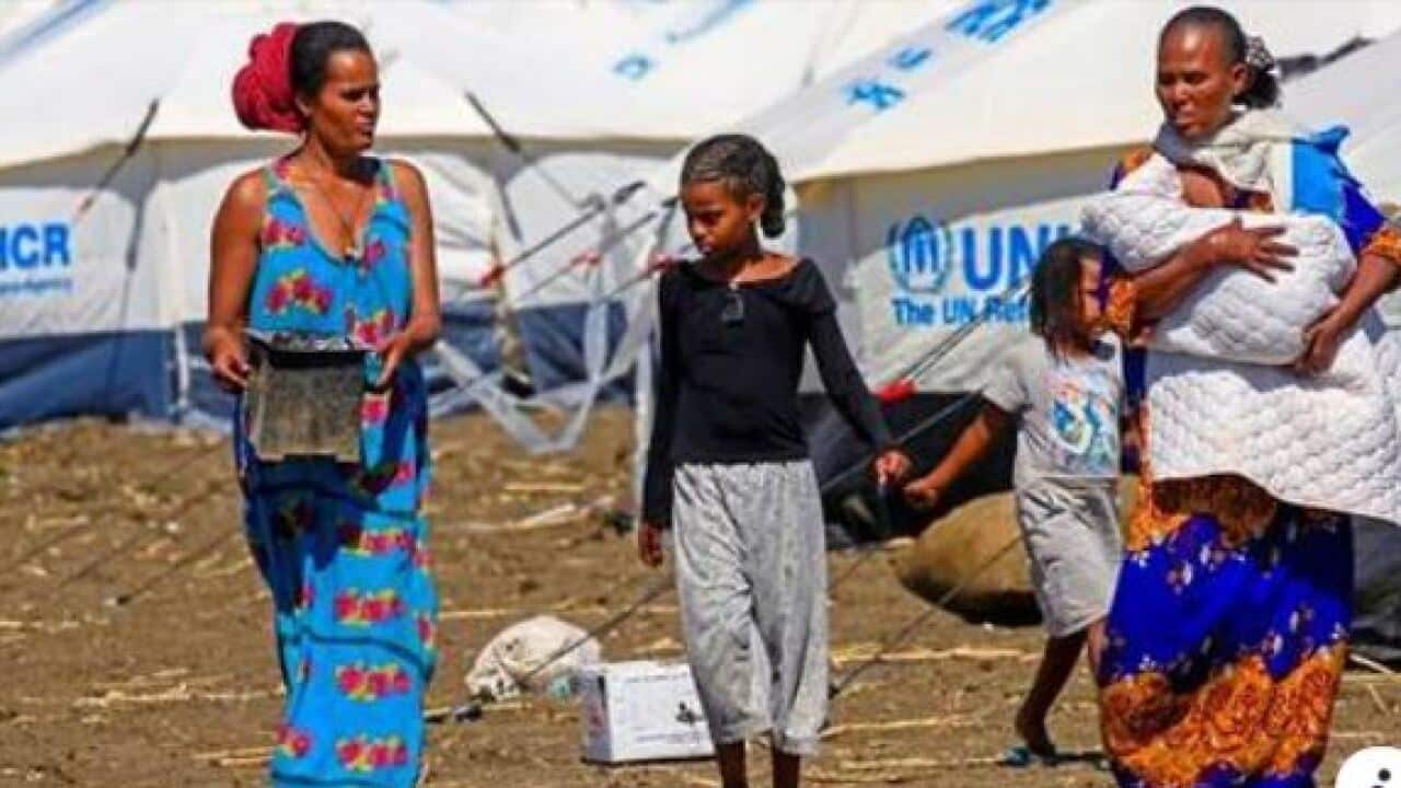REFUGEE REPORT