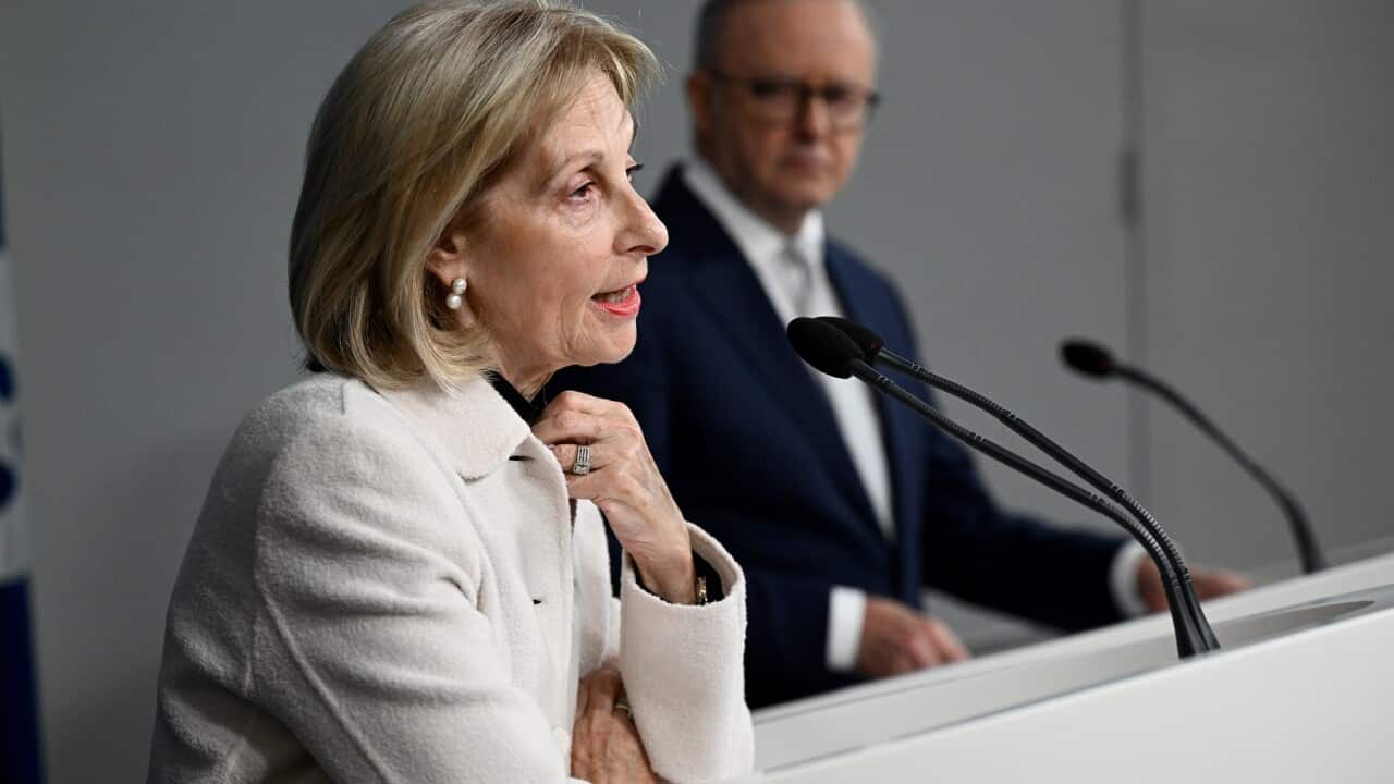 Prime Minister Anthony Albanese and Special Envoy to Combat Antisemitism Jillian Segal (AAP)