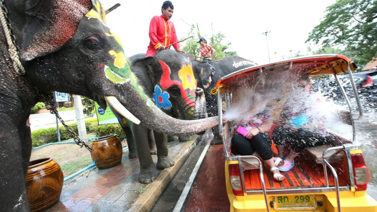 An elephant blows water on tourists in a Tuk Tuk during Songkran in Thailand.