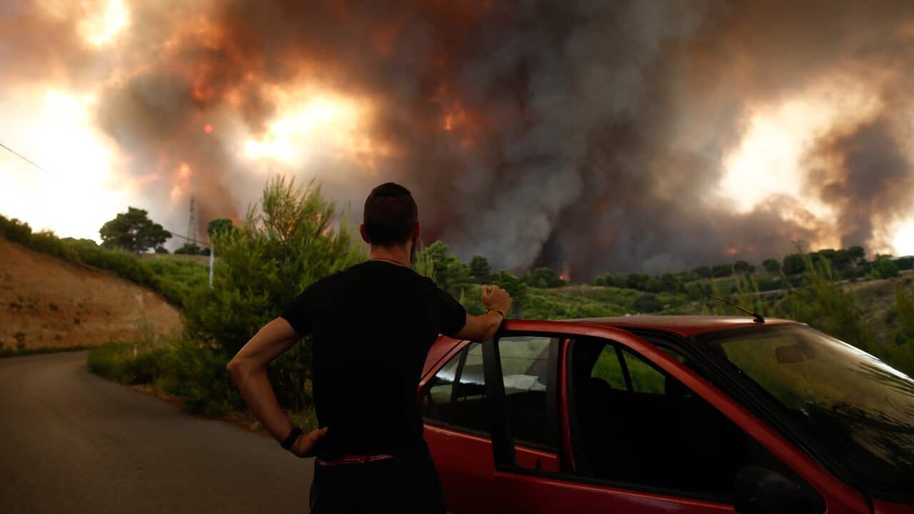 A man watches a wildfire in a suburb north of  Athens, Greece, 5 August 2021. 