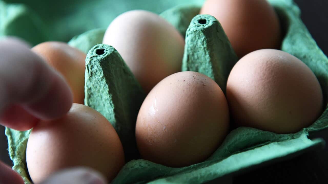 Coles has introduced national egg buying limits. Here’s what we know Coles has introduced national egg buying limits. Here’s what we know