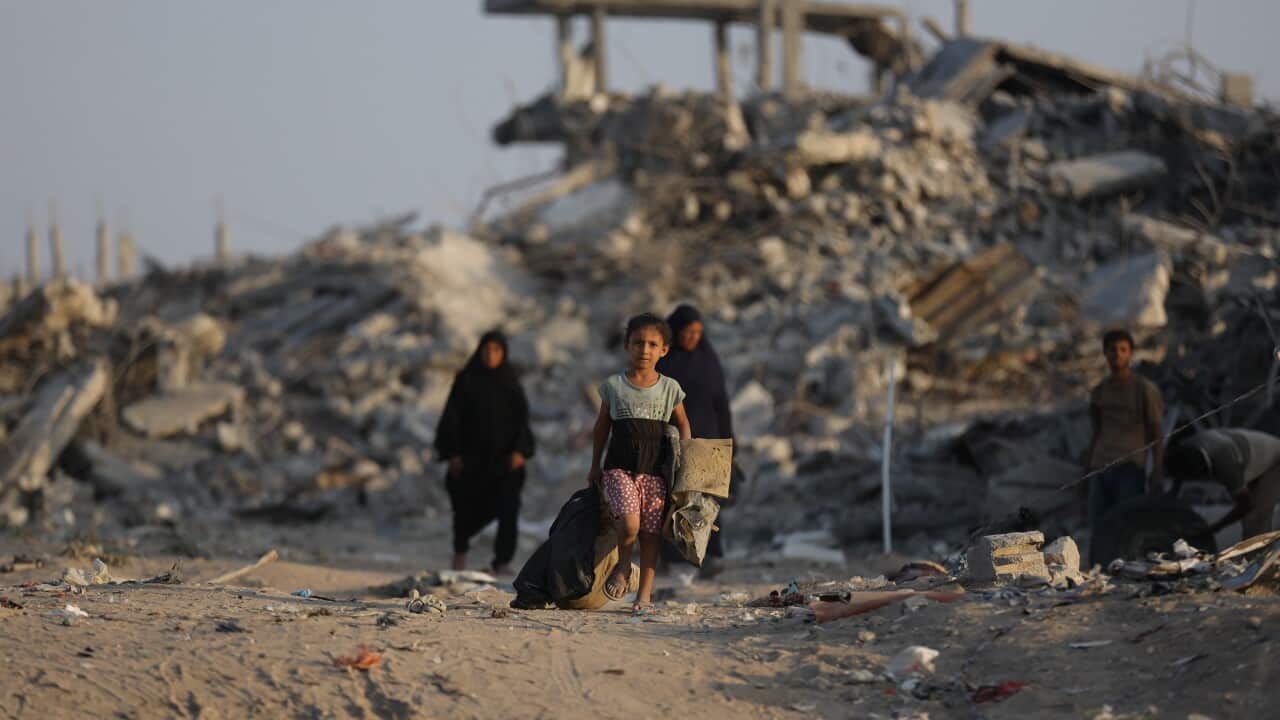 Australia to send ADF liaison officer to join US-led Gaza peace taskforce