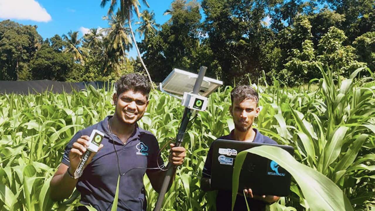 Miller Alexander Rajendran and Jeyjenthen 