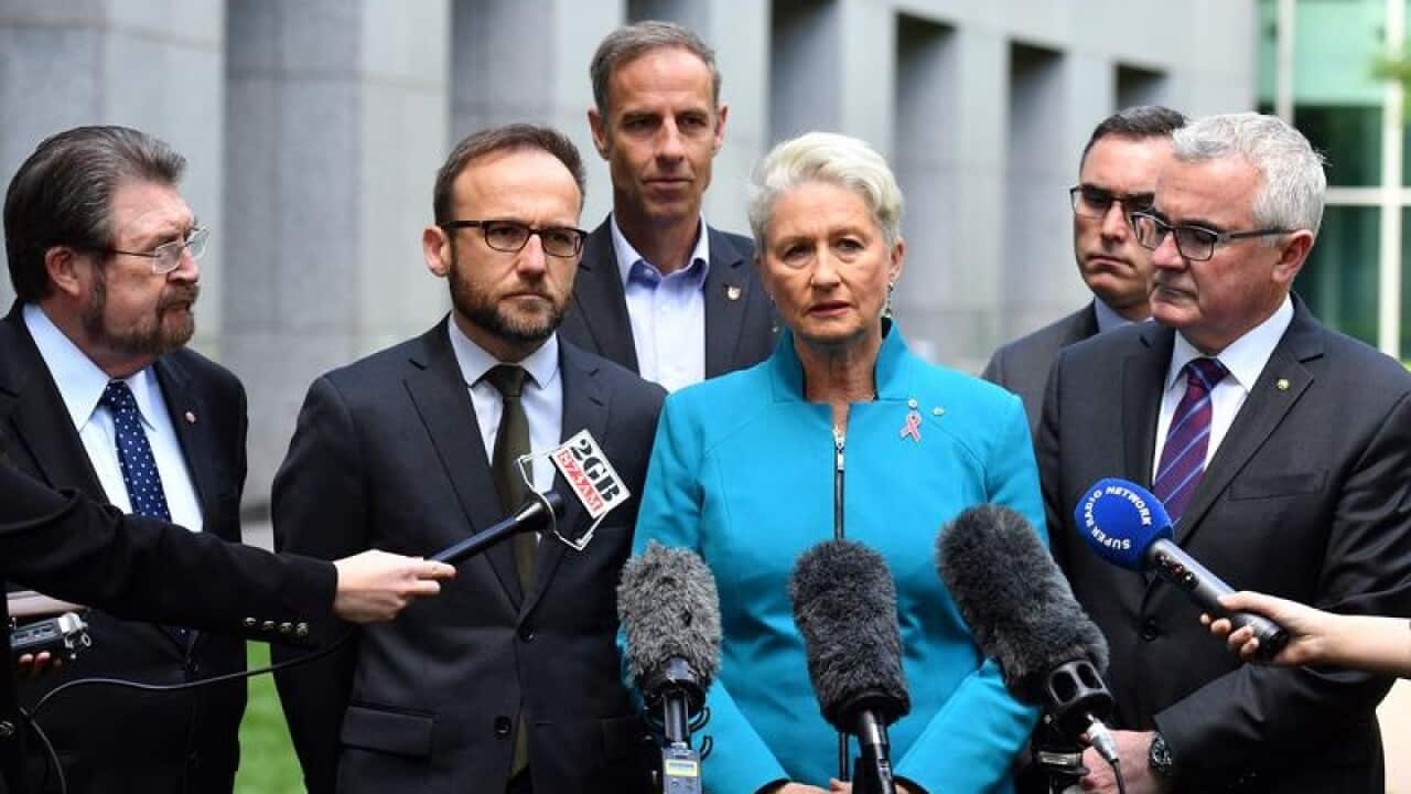 Wentworth MP Kerryn Phelps with crossbenchers
