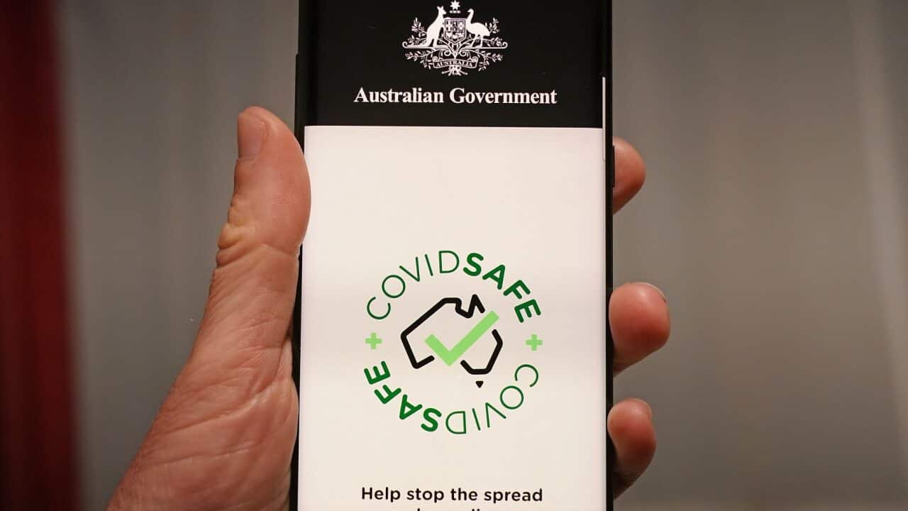 The CovidSafe App