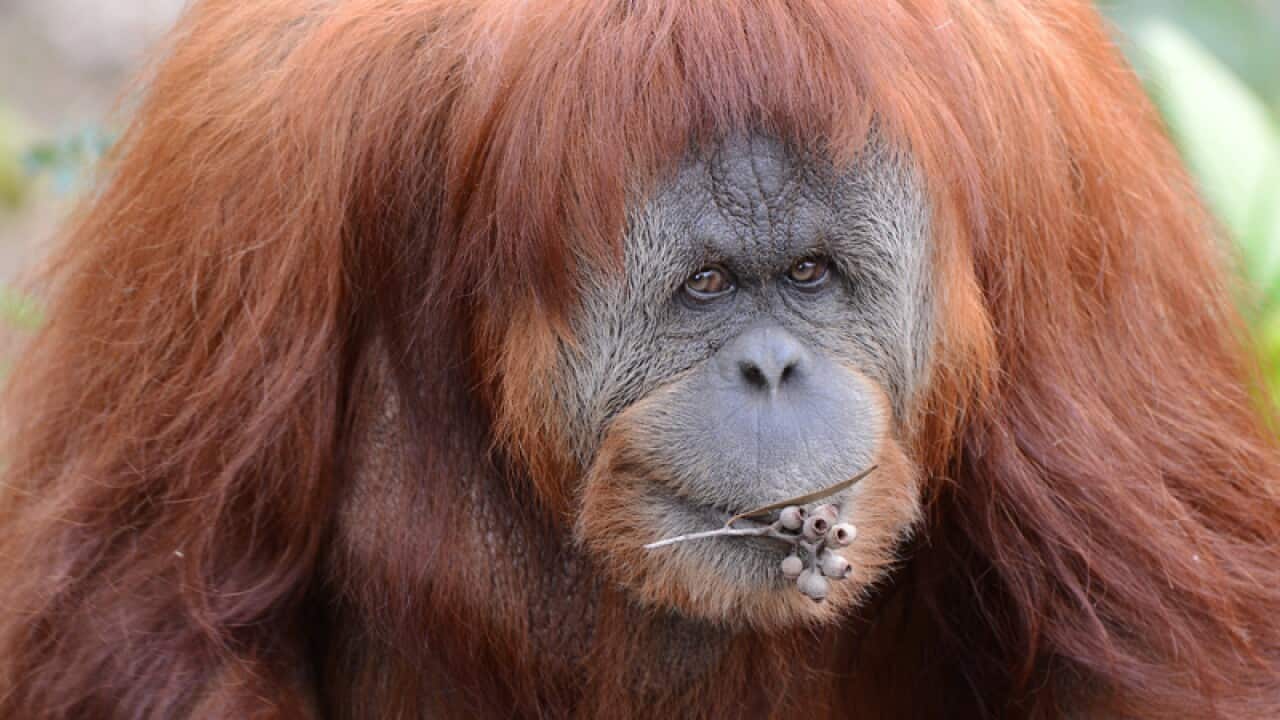 Image for read more article 'Recommended reading'