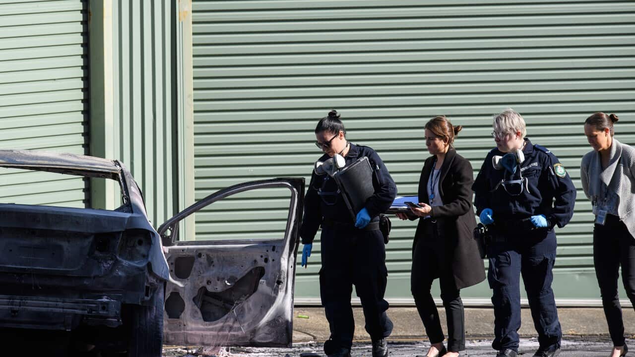 Image for read more article 'READ MORE'