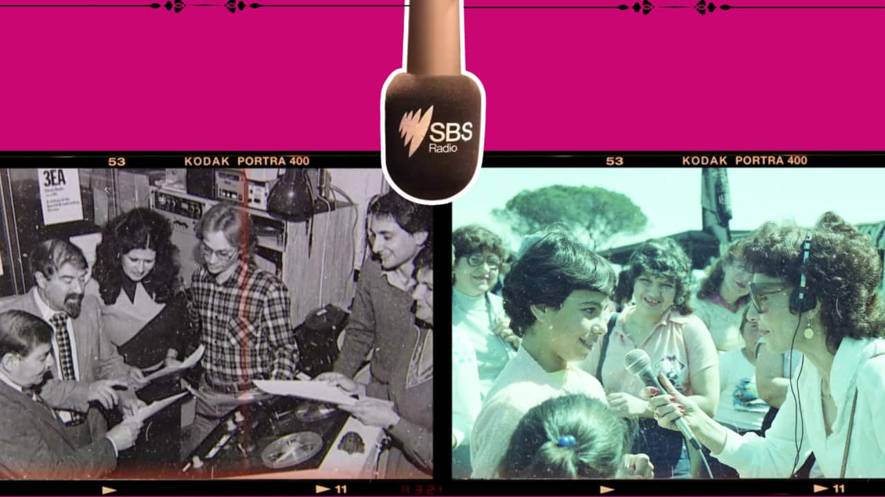 SBS 50.png