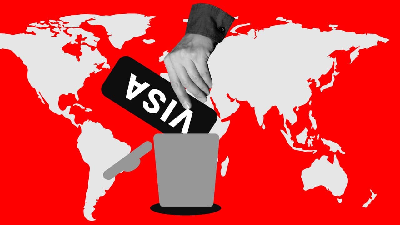 Visa rejection, immigration challenges, or geopolitical issues. Hand discarding visa into trash bin against world map background. Minimalist art collage