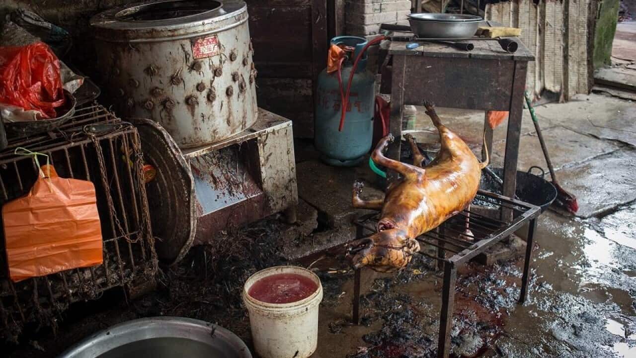 Wet markets
