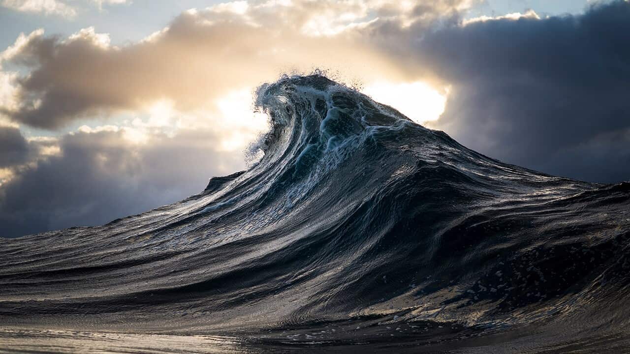 'Sunburst' by photographer Ray Collins