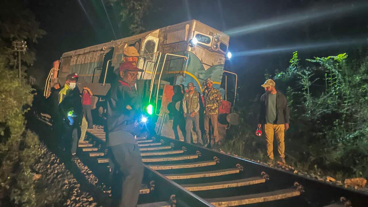 Sri Lanka Wild Elephant