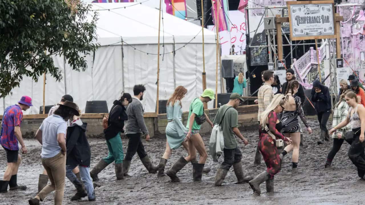 Splendour in the Grass attendees