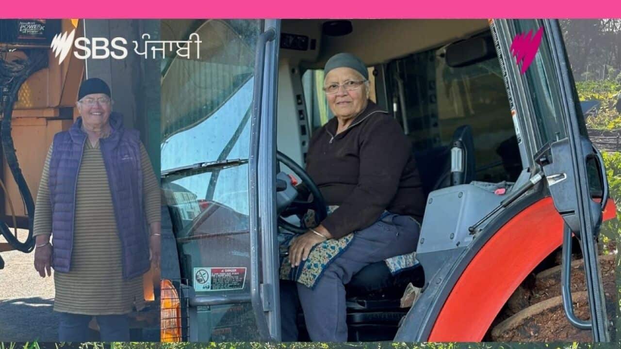 MP's Trials  (4).jpg