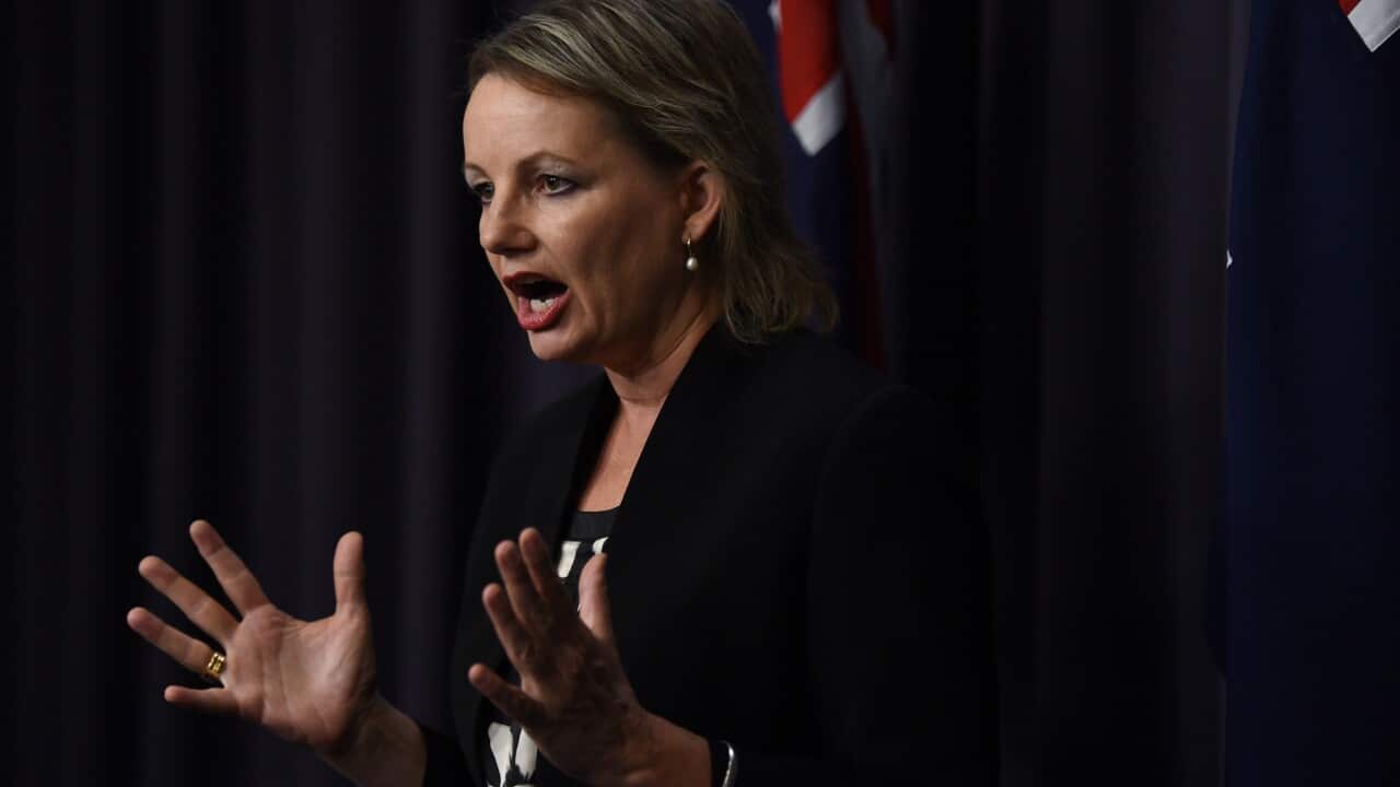 Health minister Sussan Ley (AAP Image/Lukas Coch) 