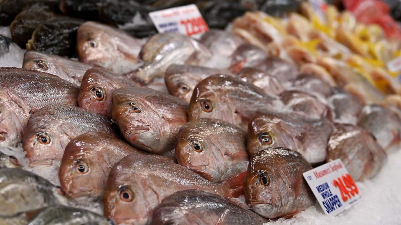 GOOD FRIDAY FISH SALES