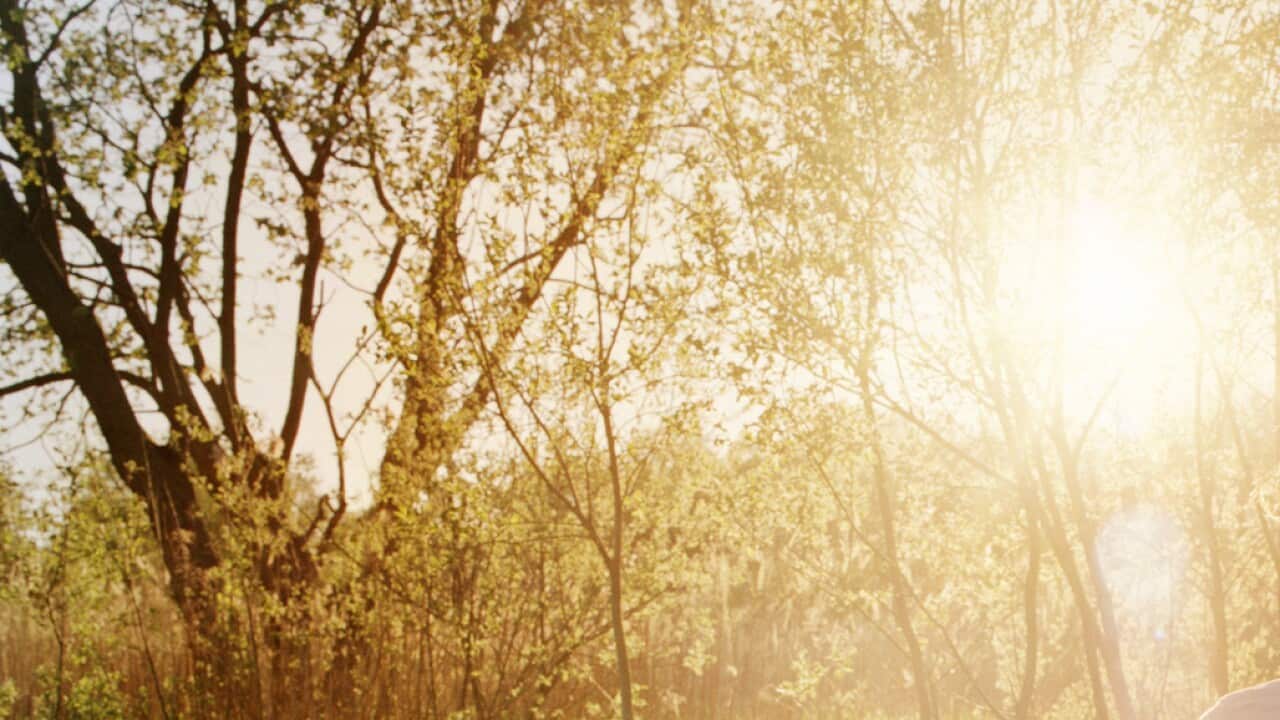 Young woman enjoying sunset