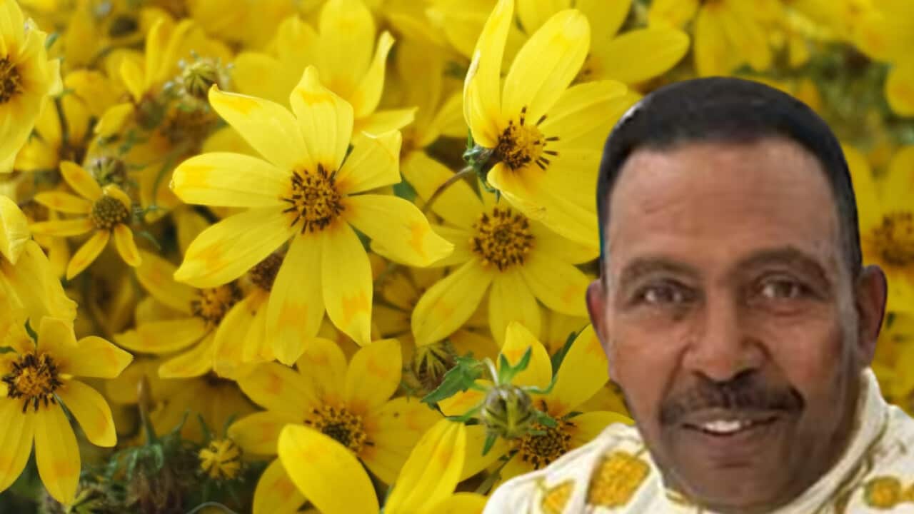 Nat.png