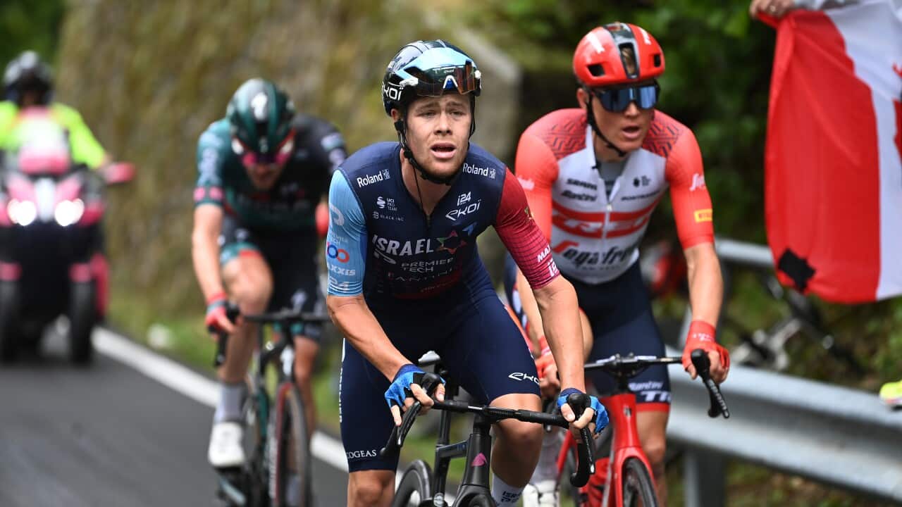 Image for read more article 'READ MORE'