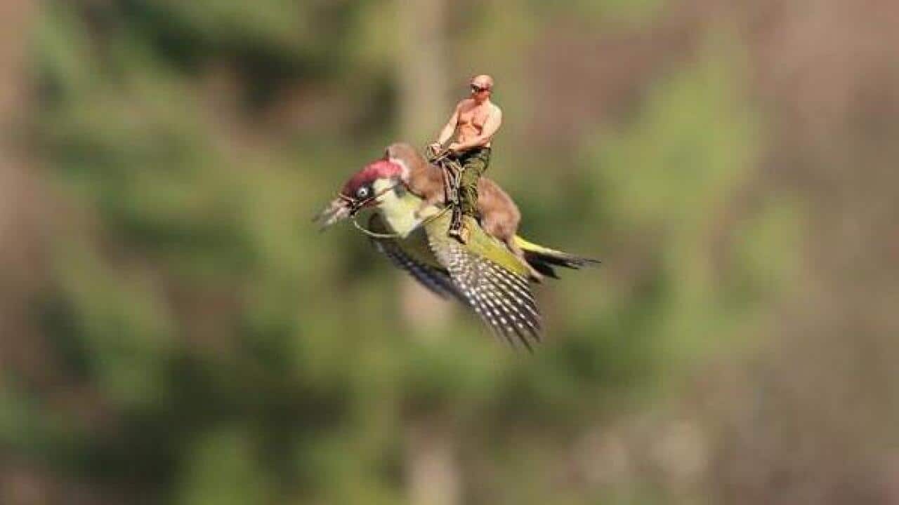 A meme of President Vladimir Putin riding a weasel, which is riding a woodpecker. (Twitter)