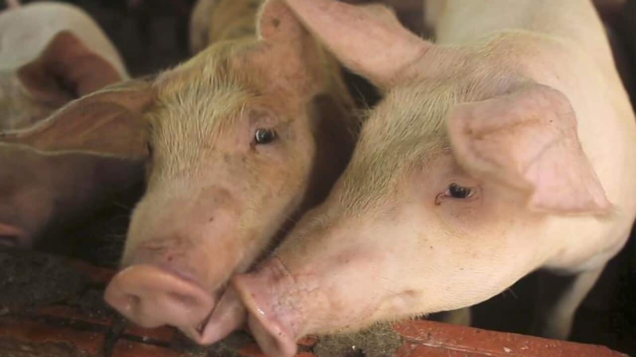 Image for read more article 'READ MORE'