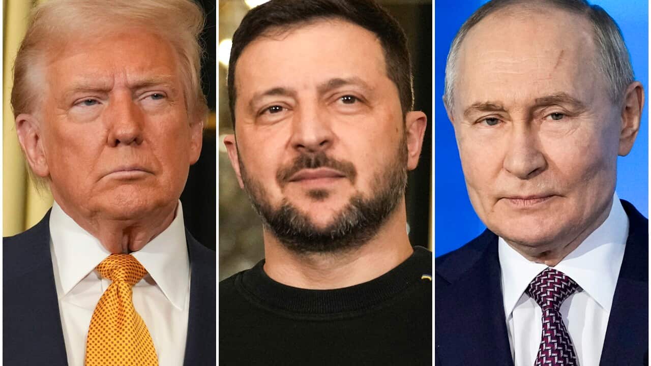 Trump Zelenskyy Putin