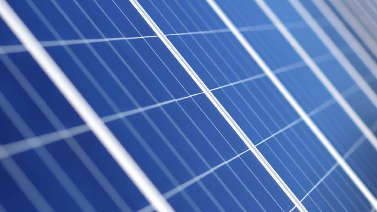 Solar panels at a solar farm