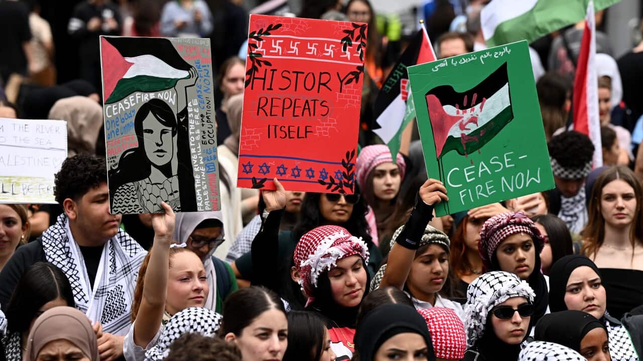 Sydney school students hold up signs urging a ceasefire in Hamas-Israel war in Gaza strip.