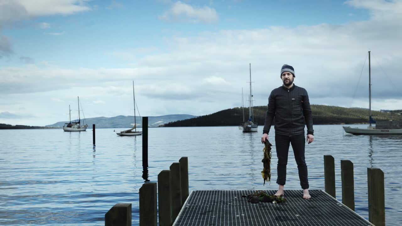 Rene Redzepi