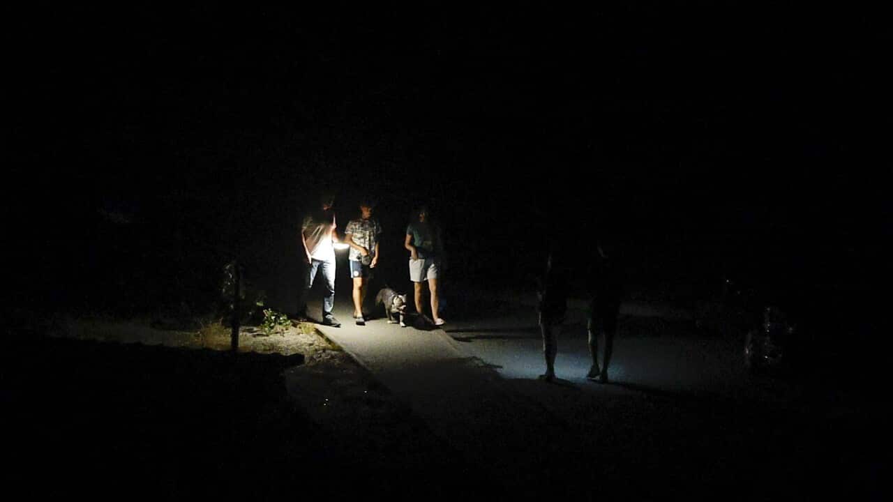 People walking a dog along a residential street using phone torch for light source.