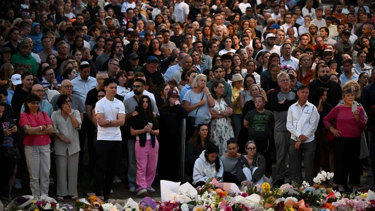 ‘We will not give in to fear’: vigils held across Australia to honor victims of Bondi terror attack ‘We will not give in to fear’: vigils held across Australia to honor victims of Bondi terror attack