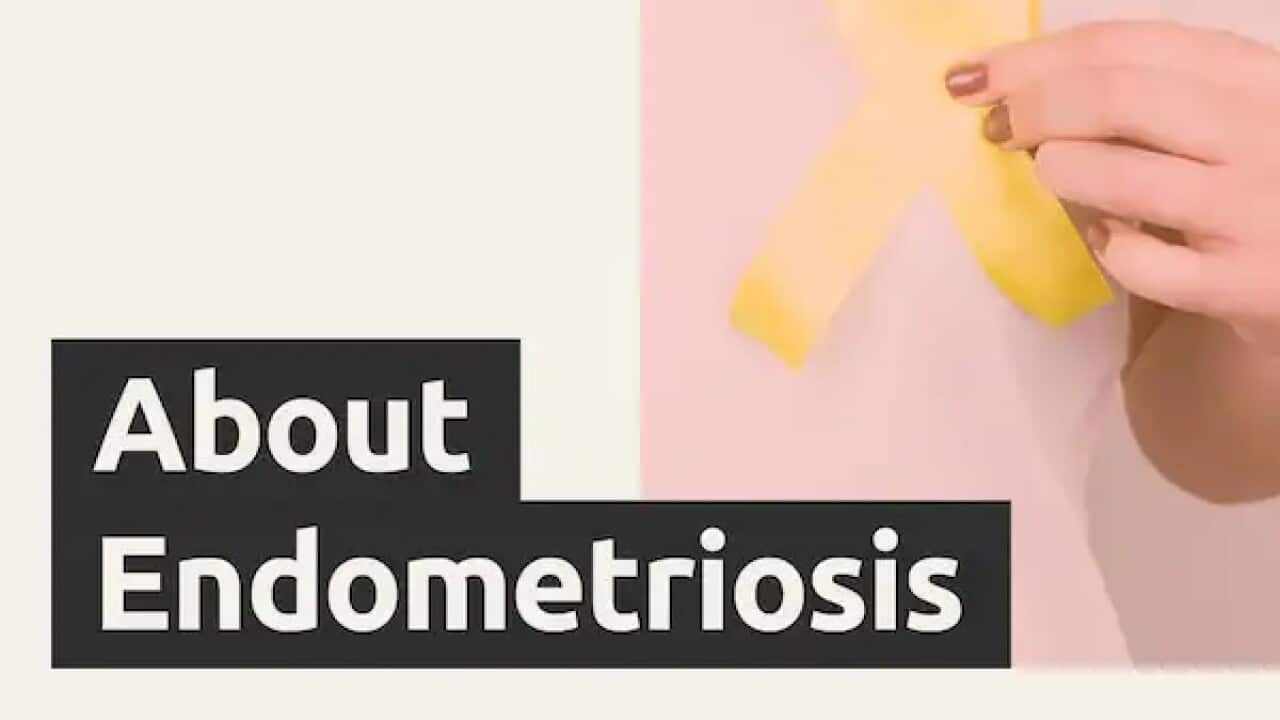 Image for read more article 'LISTEN'