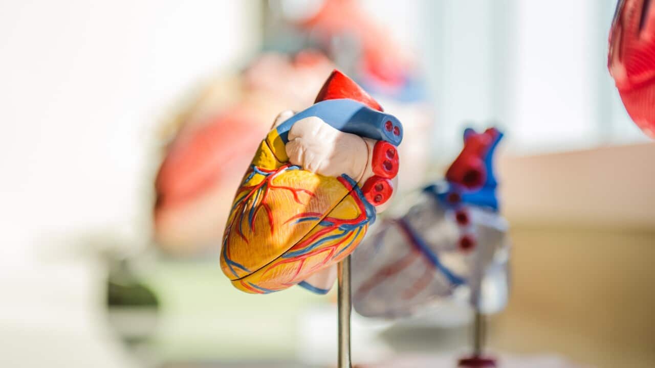 Artificial heart -Jesse Orrico - Unsplash.jpg