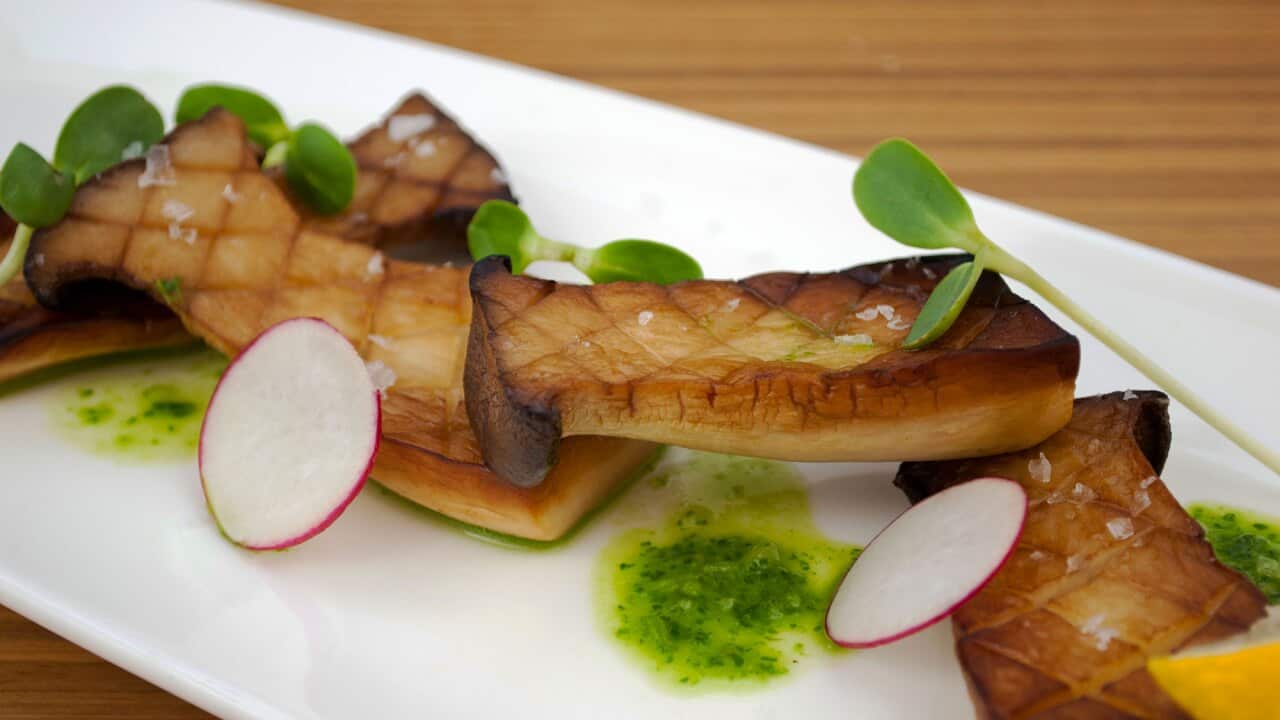 Roast king oyster mushrooms with wine sauce