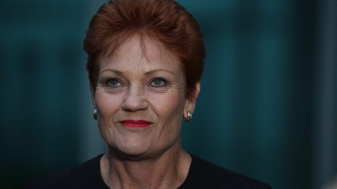 SBS Life with author and filmmaker Anna Broinowski, whose new book Please Explain charts Pauline Hanson’s meteoric rise 