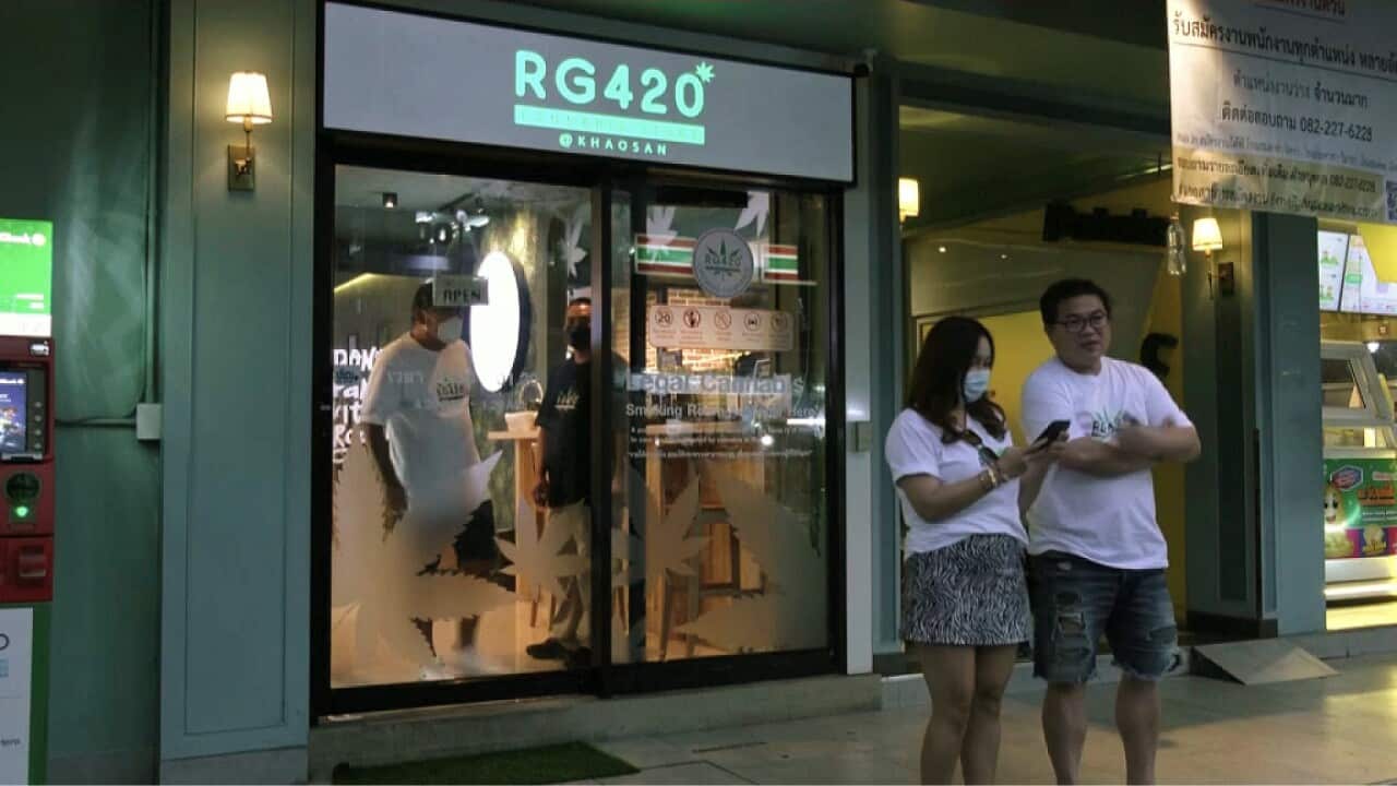 THAILAND CANNABIS