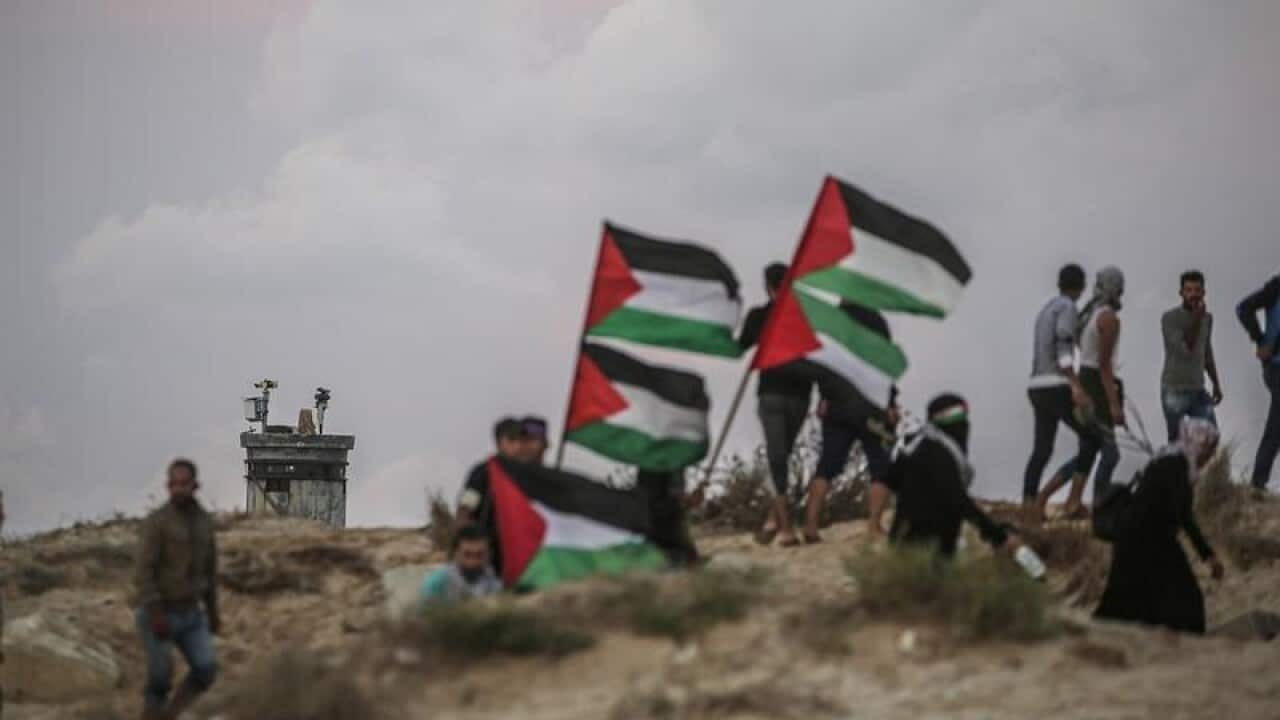 Palestinian protesters at the Israel-Gaza border in November