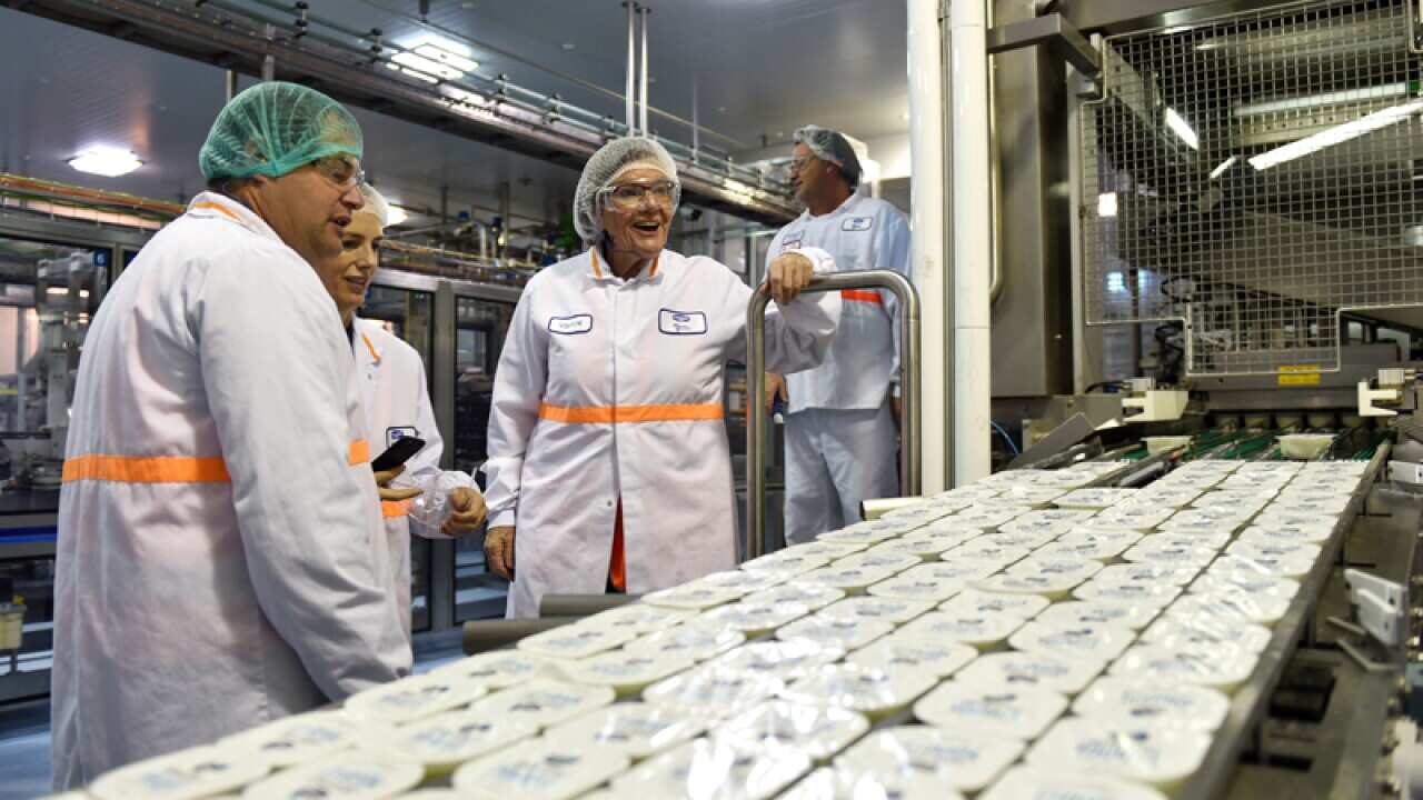 Independent MP Cathy McGowan visits the Danone Murray Goulburn plant