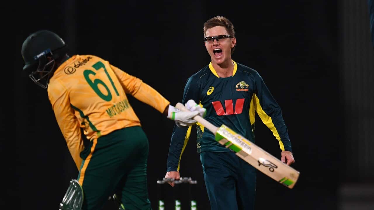 CRICKET AUSTRALIA SOUTH AFRICA