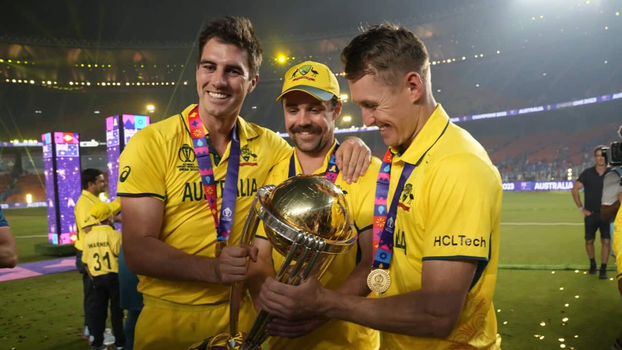India Cricket WCup